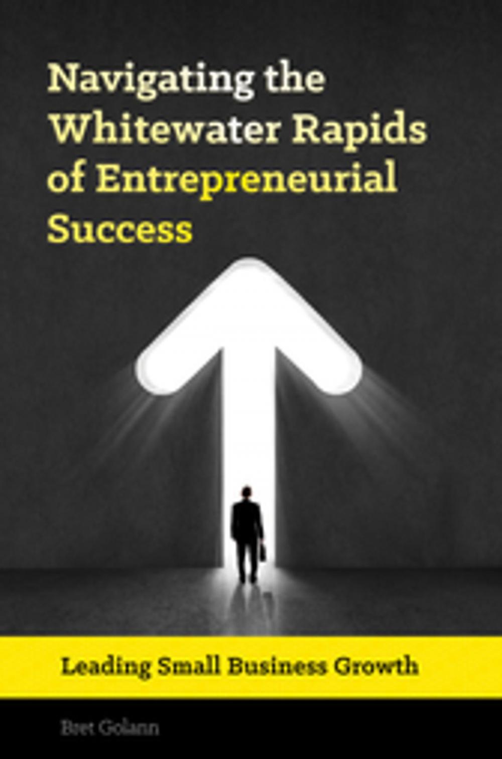 Big bigCover of Navigating the Whitewater Rapids of Entrepreneurial Success: Leading Small Business Growth