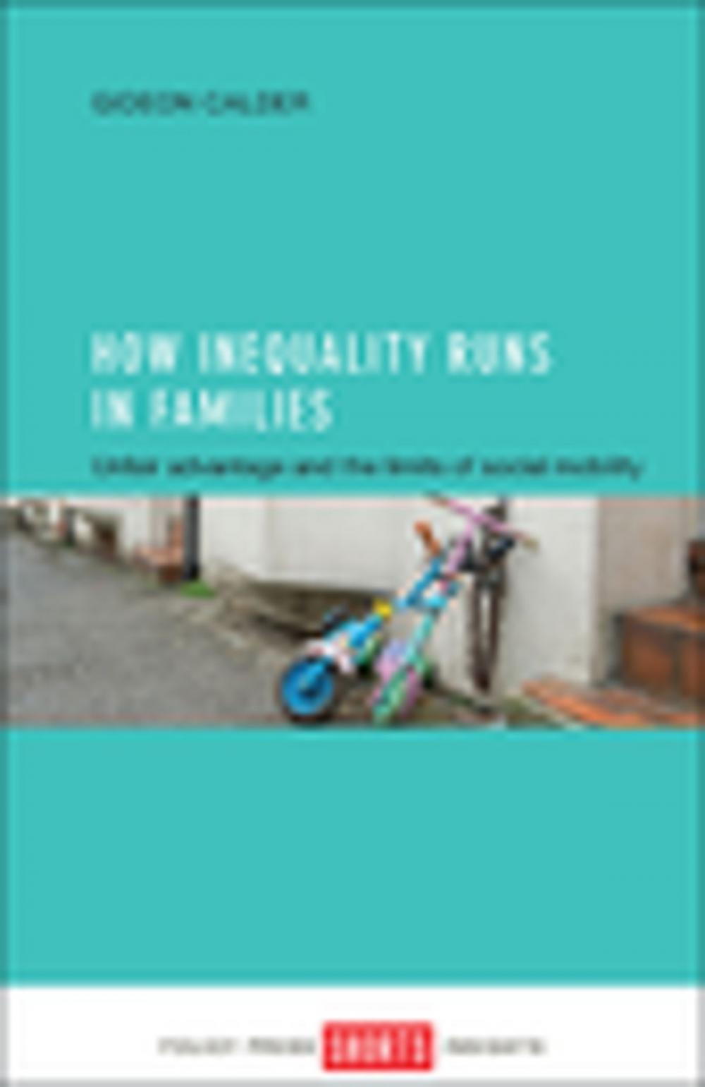 Big bigCover of How inequality runs in families