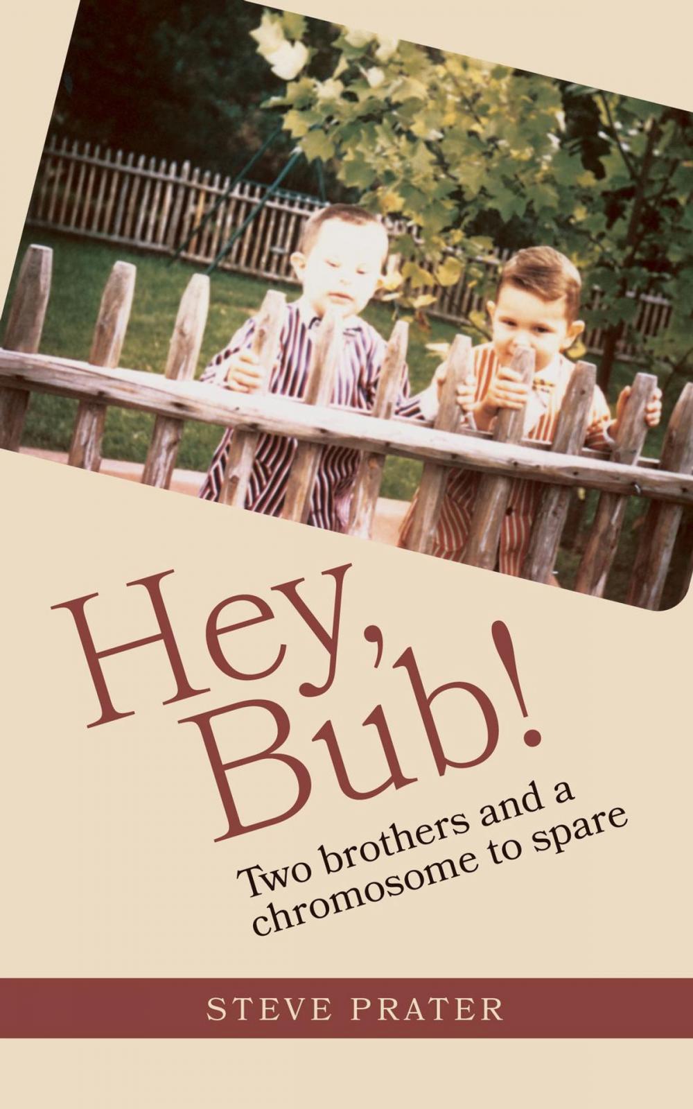 Big bigCover of Hey, Bub!