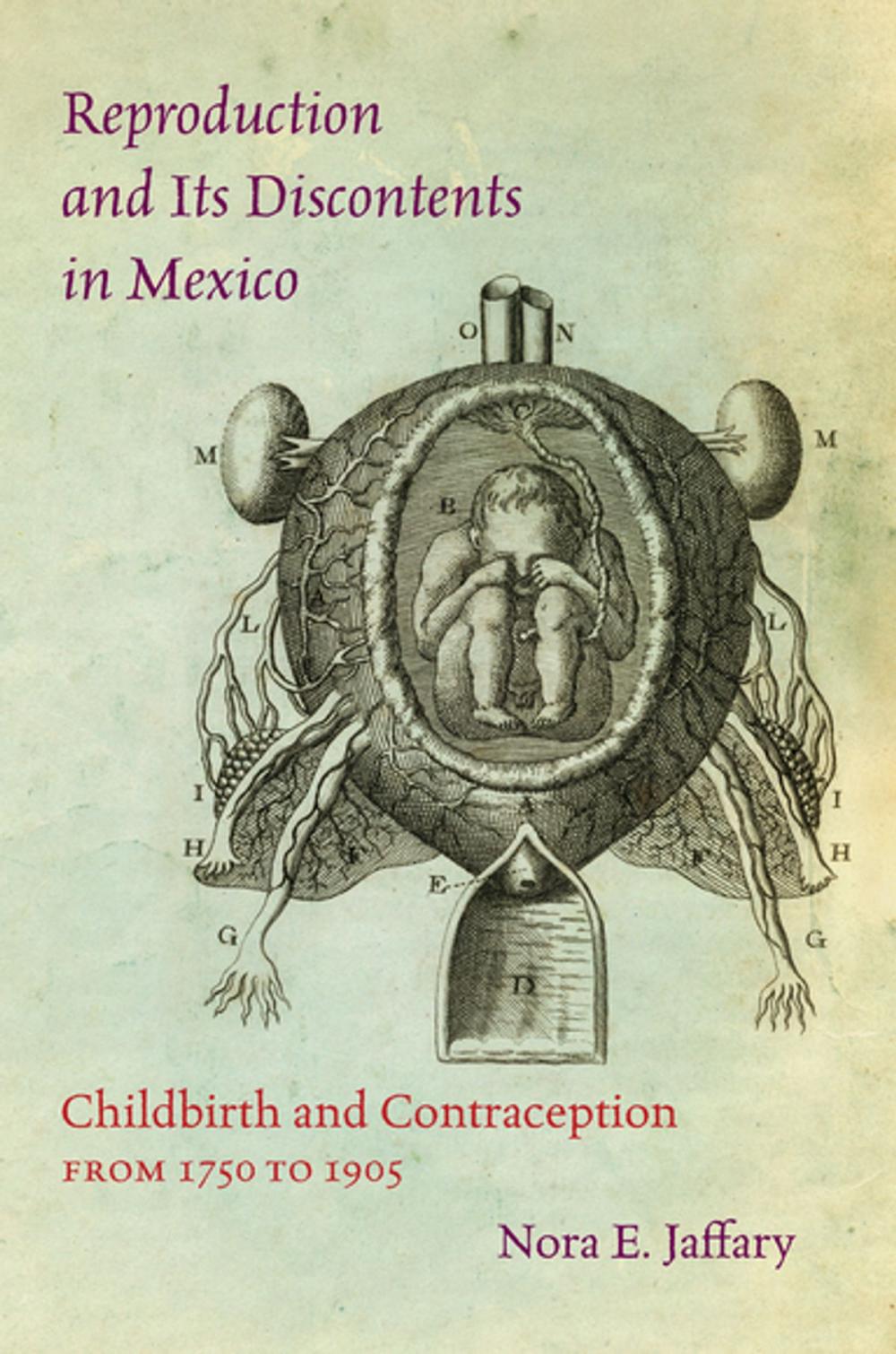 Big bigCover of Reproduction and Its Discontents in Mexico