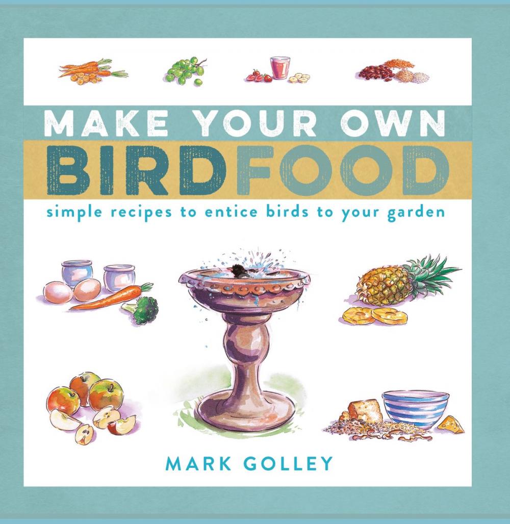 Big bigCover of Make Your Own Bird Food