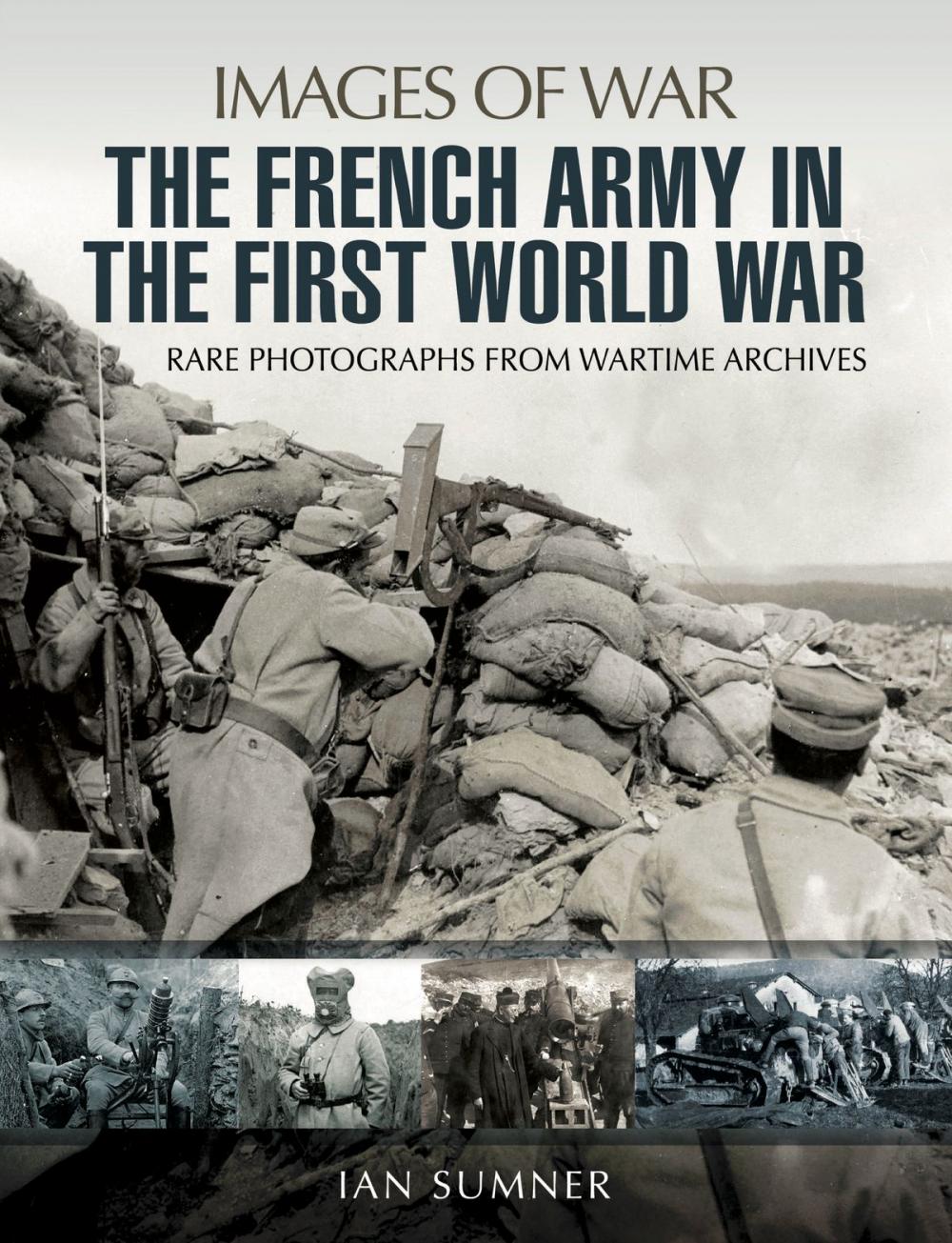 Big bigCover of The French Army in the First World War