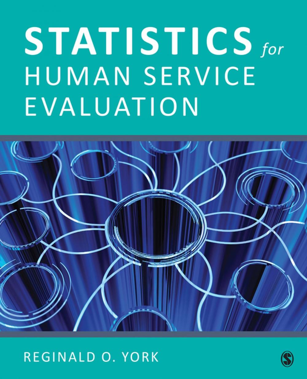 Big bigCover of Statistics for Human Service Evaluation