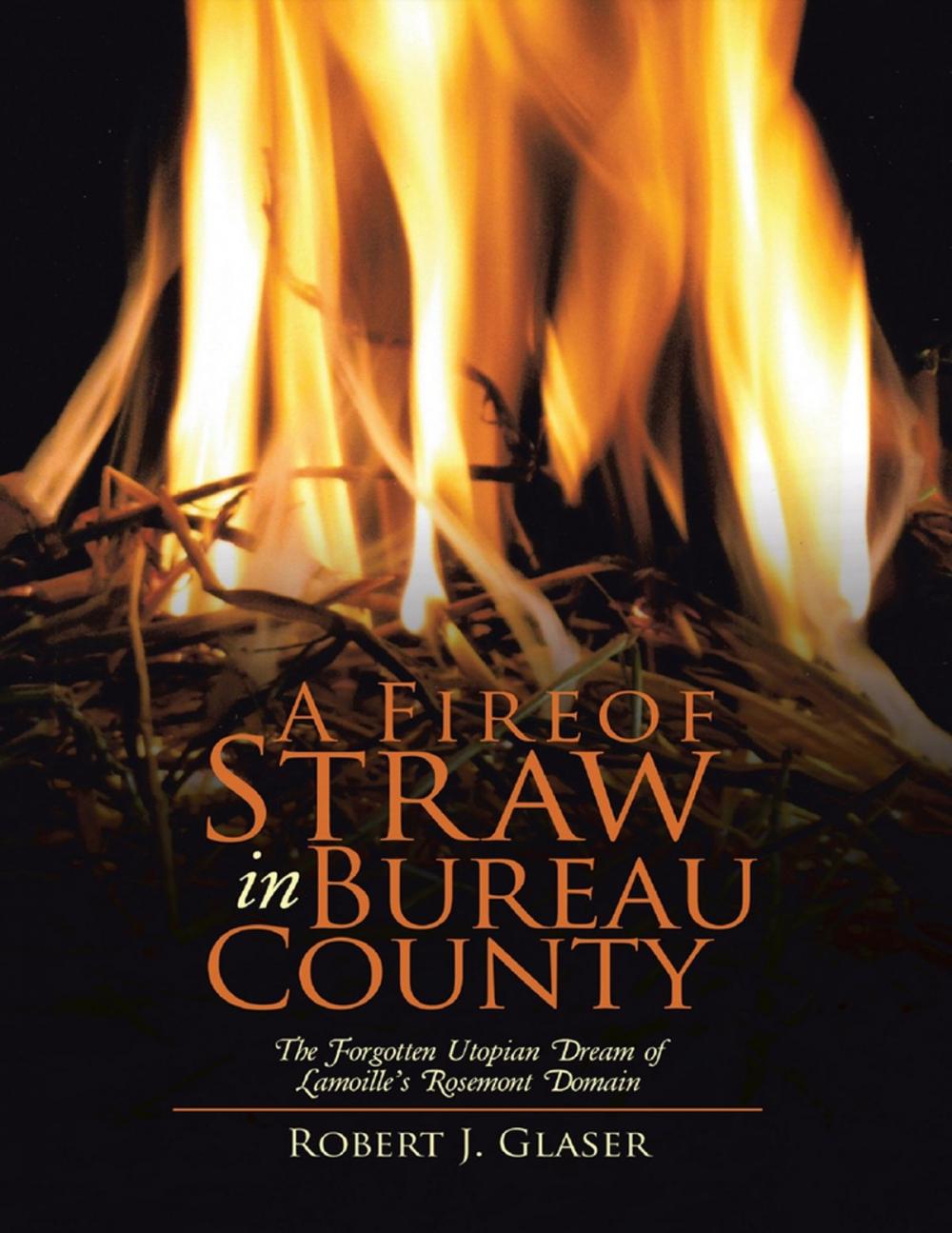 Big bigCover of A Fire of Straw In Bureau County: The Forgotten Utopian Dream of Lamoille's Rosemont Domain