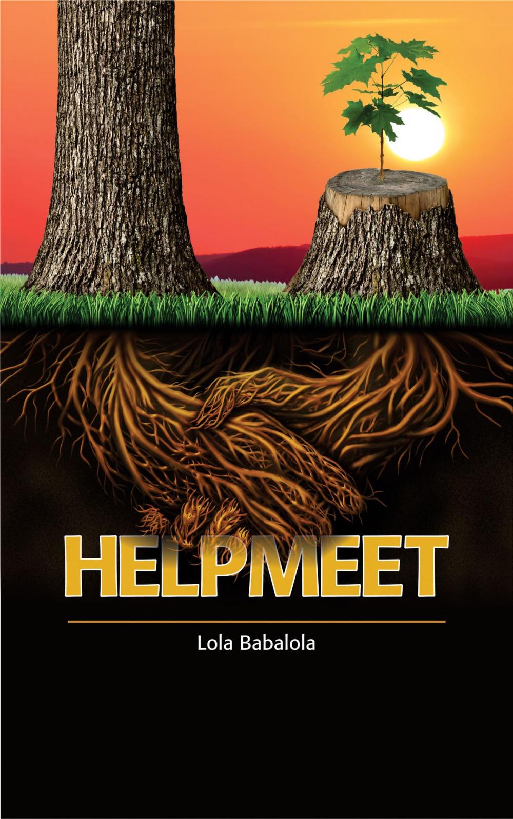 Big bigCover of Helpmeet