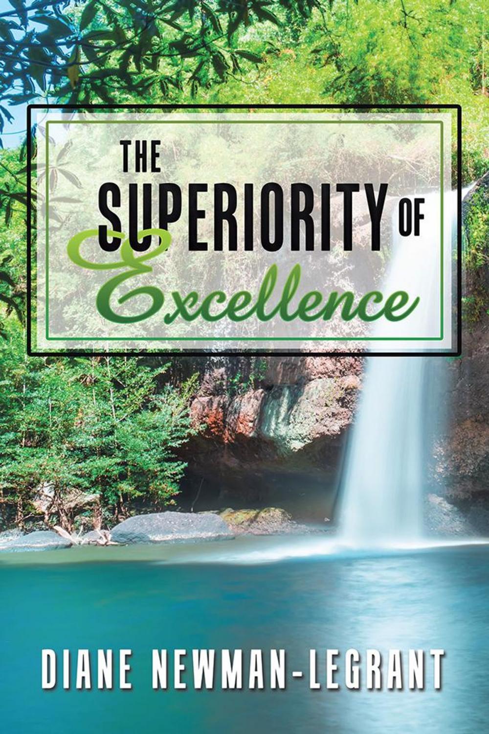 Big bigCover of The Superiority of Excellence