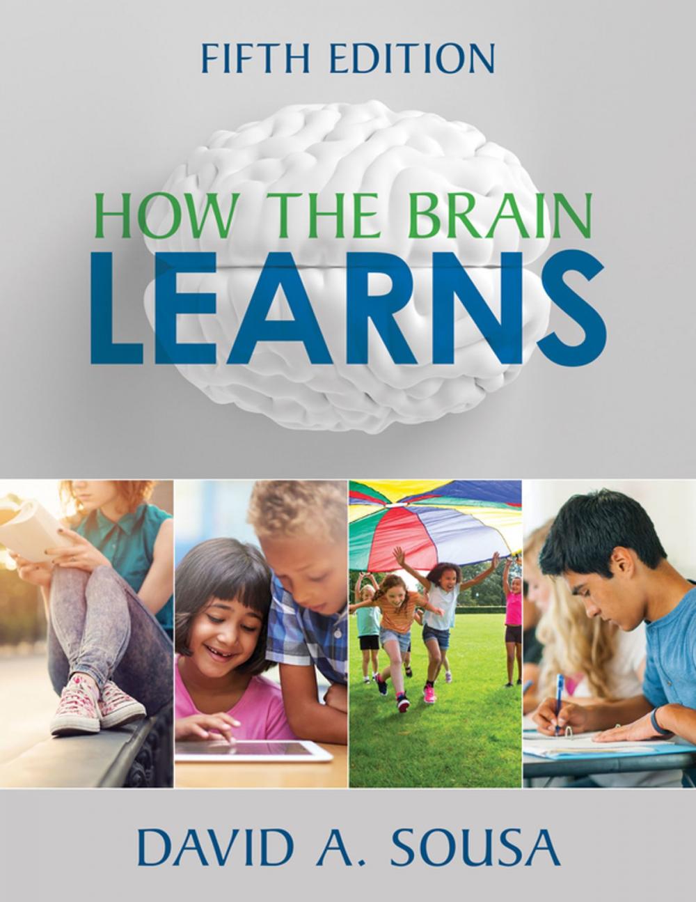 Big bigCover of How the Brain Learns