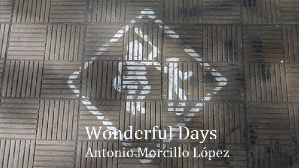 Big bigCover of Wonderful Days