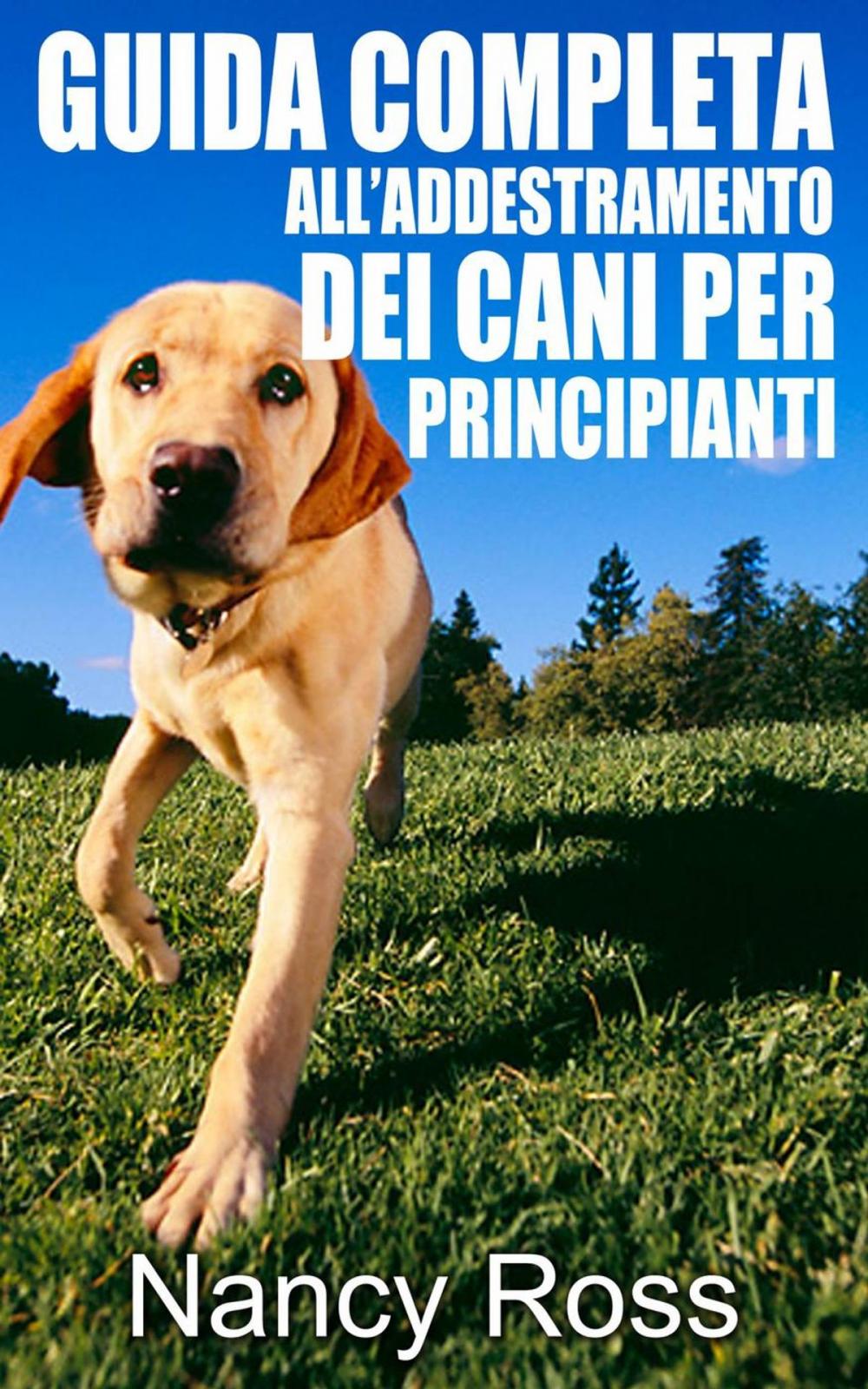 Big bigCover of Guida completa all’addestramento dei cani per principianti