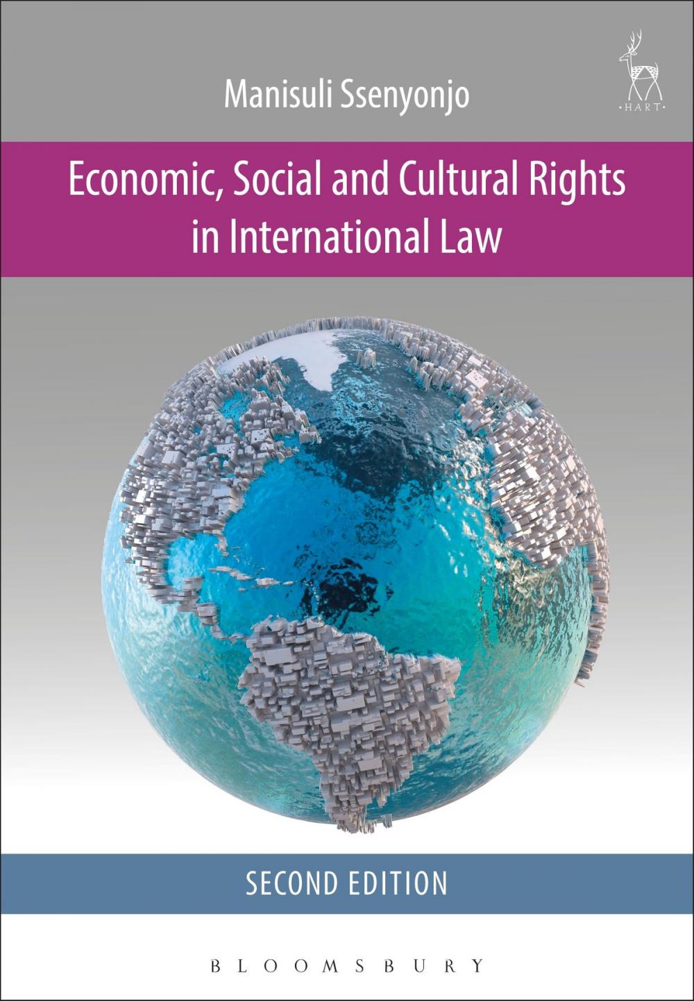 Big bigCover of Economic, Social and Cultural Rights in International Law