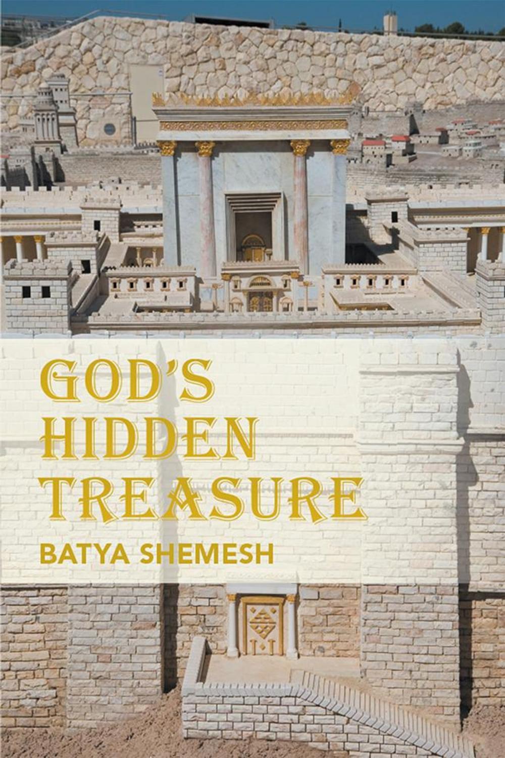 Big bigCover of God's Hidden Treasure