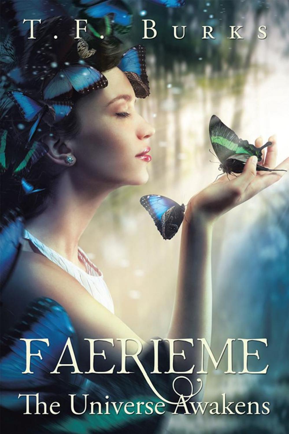 Big bigCover of Faerieme