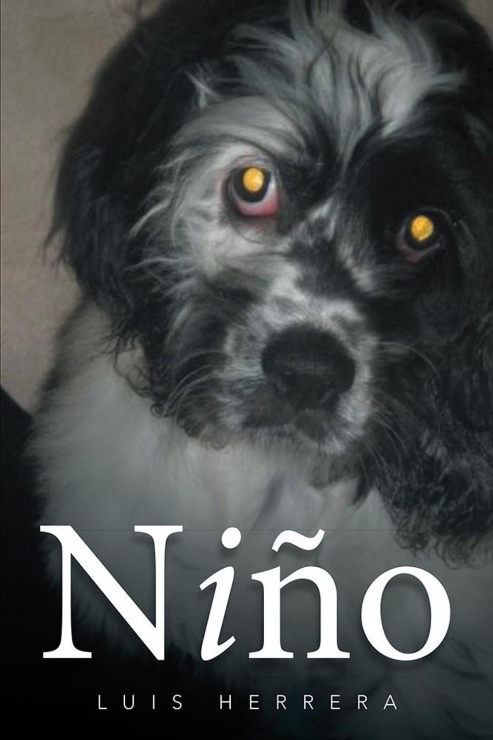 Big bigCover of Niño