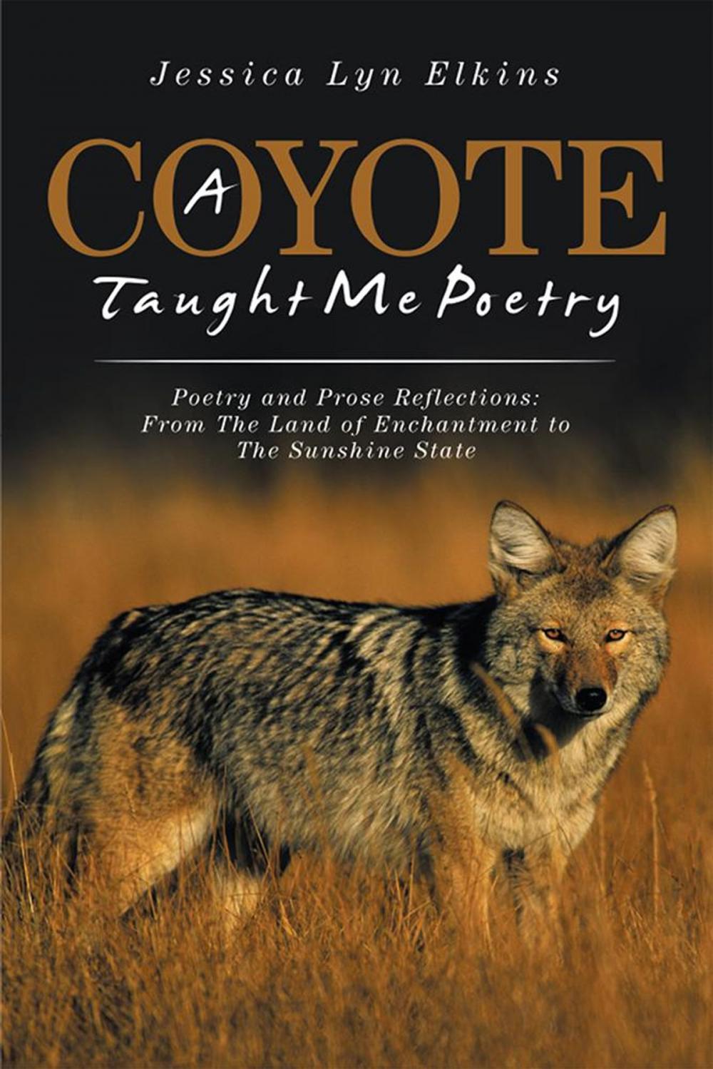 Big bigCover of A Coyote Taught Me Poetry