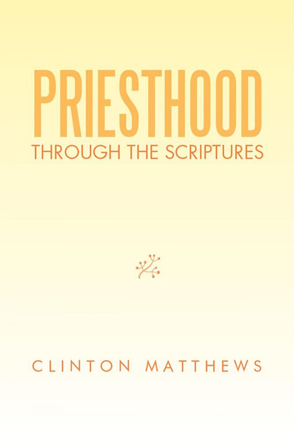 Big bigCover of Priesthood Through the Scriptures