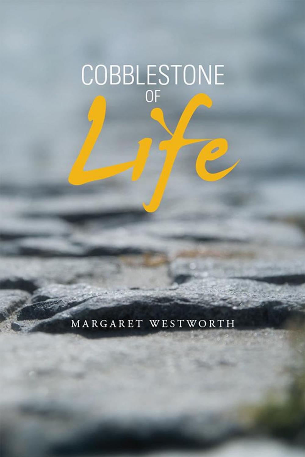 Big bigCover of Cobblestone of Life