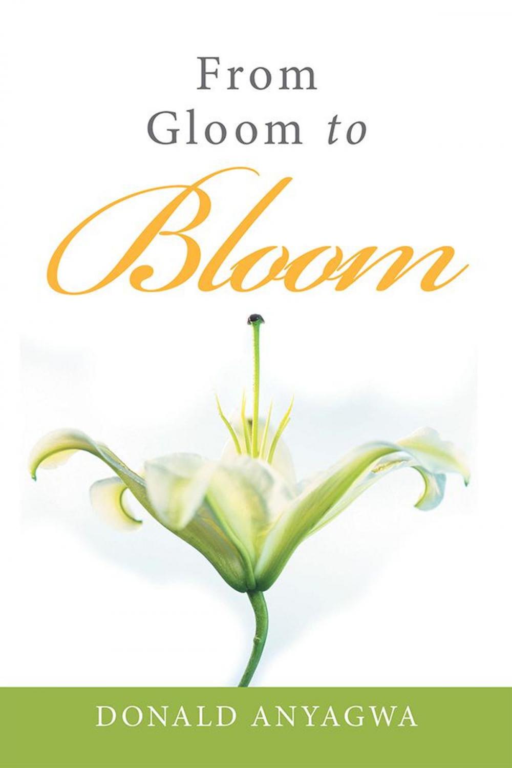 Big bigCover of From Gloom to Bloom