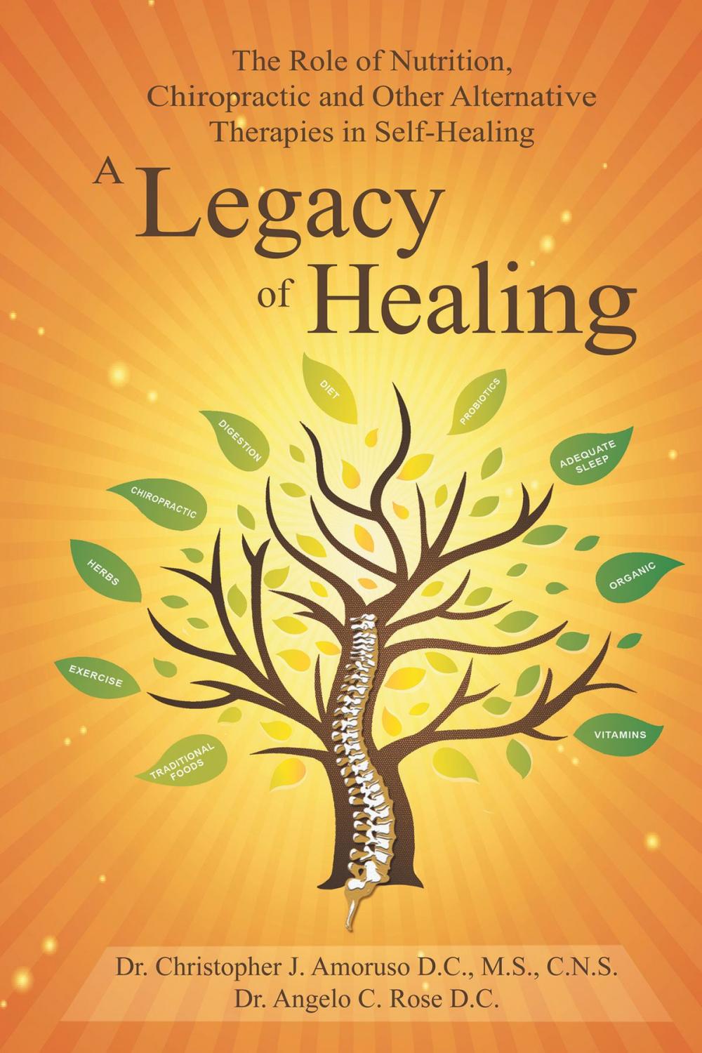 Big bigCover of A Legacy of Healing