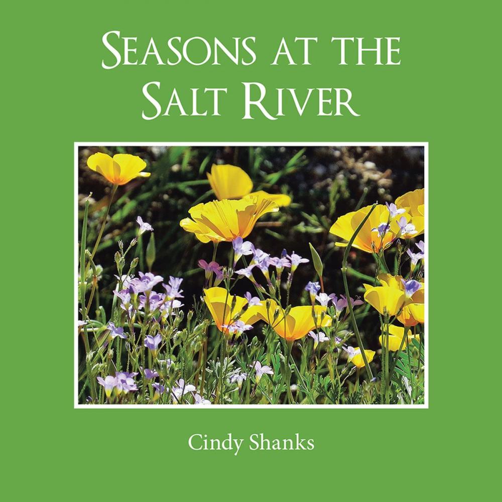 Big bigCover of Seasons at the Salt River