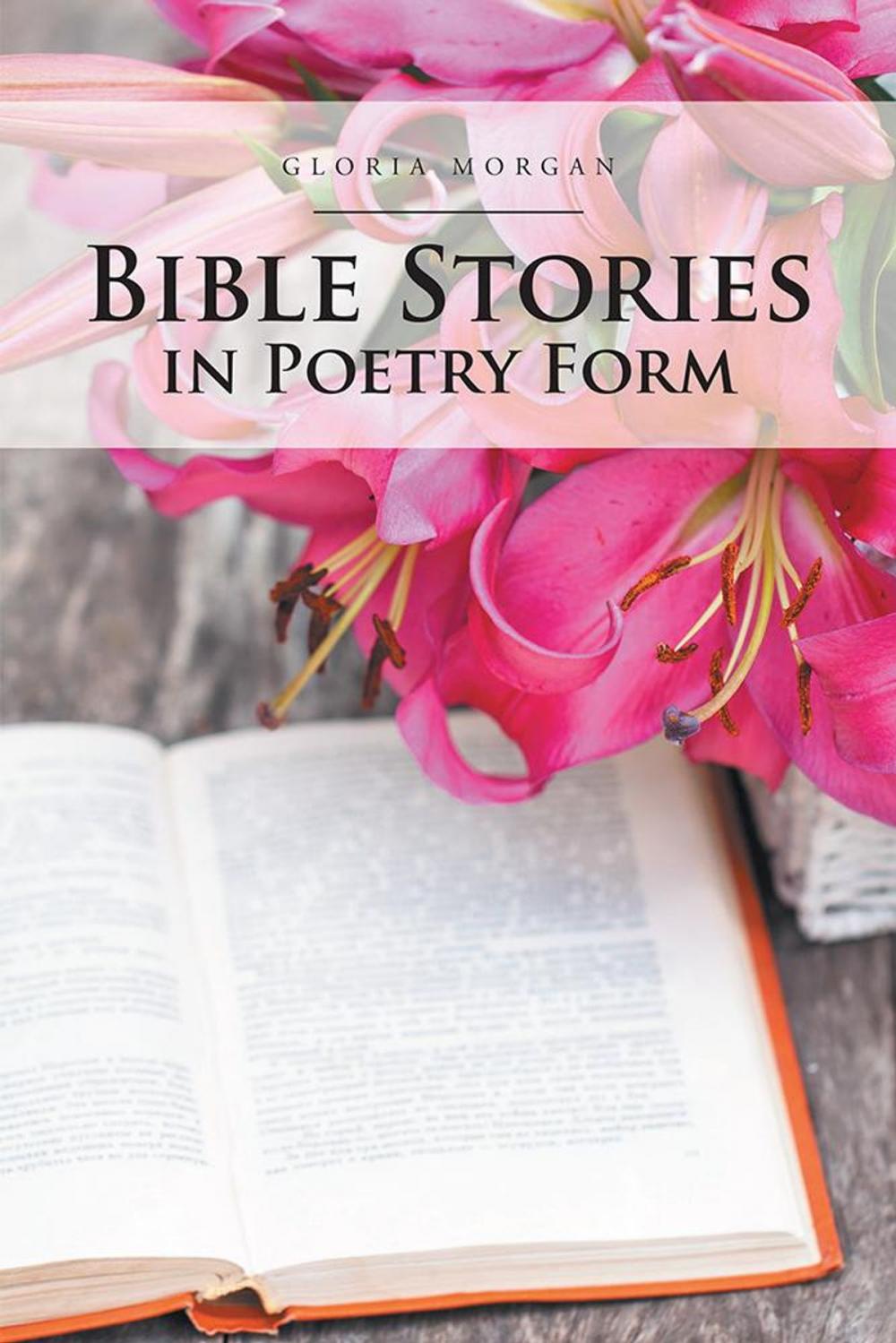 Big bigCover of Bible Stories in Poetry Form