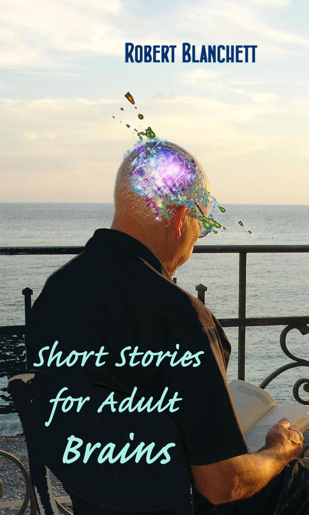 Big bigCover of Short Stories for Adult Brains