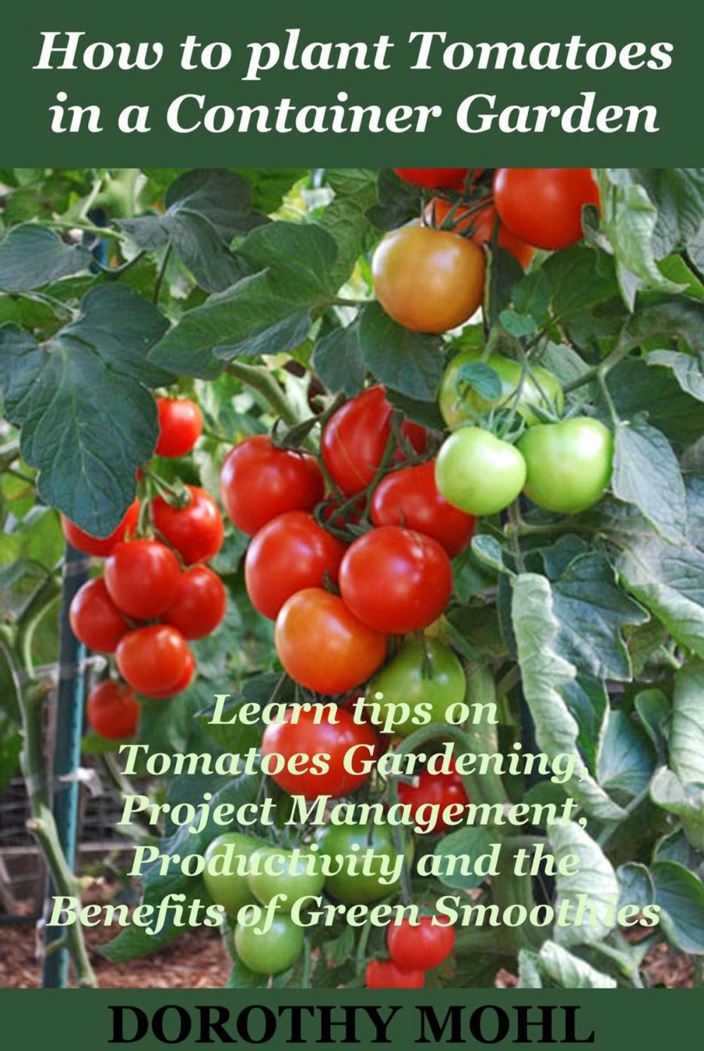 Big bigCover of How to Plant Tomatoes in a Container Garden