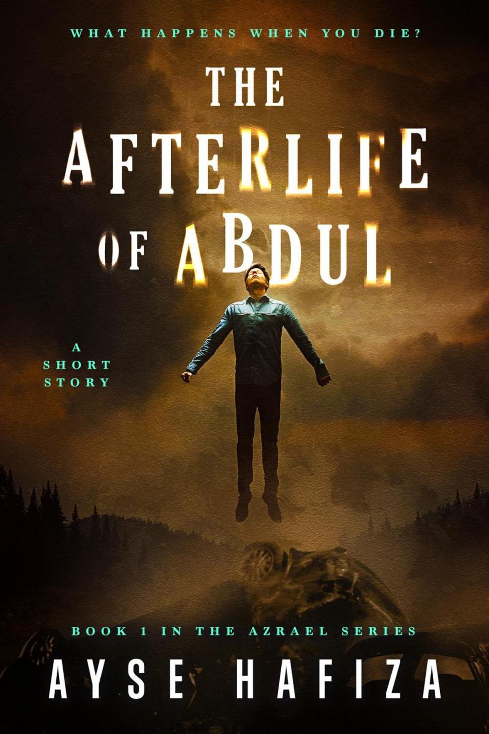 Big bigCover of The Afterlife of Abdul