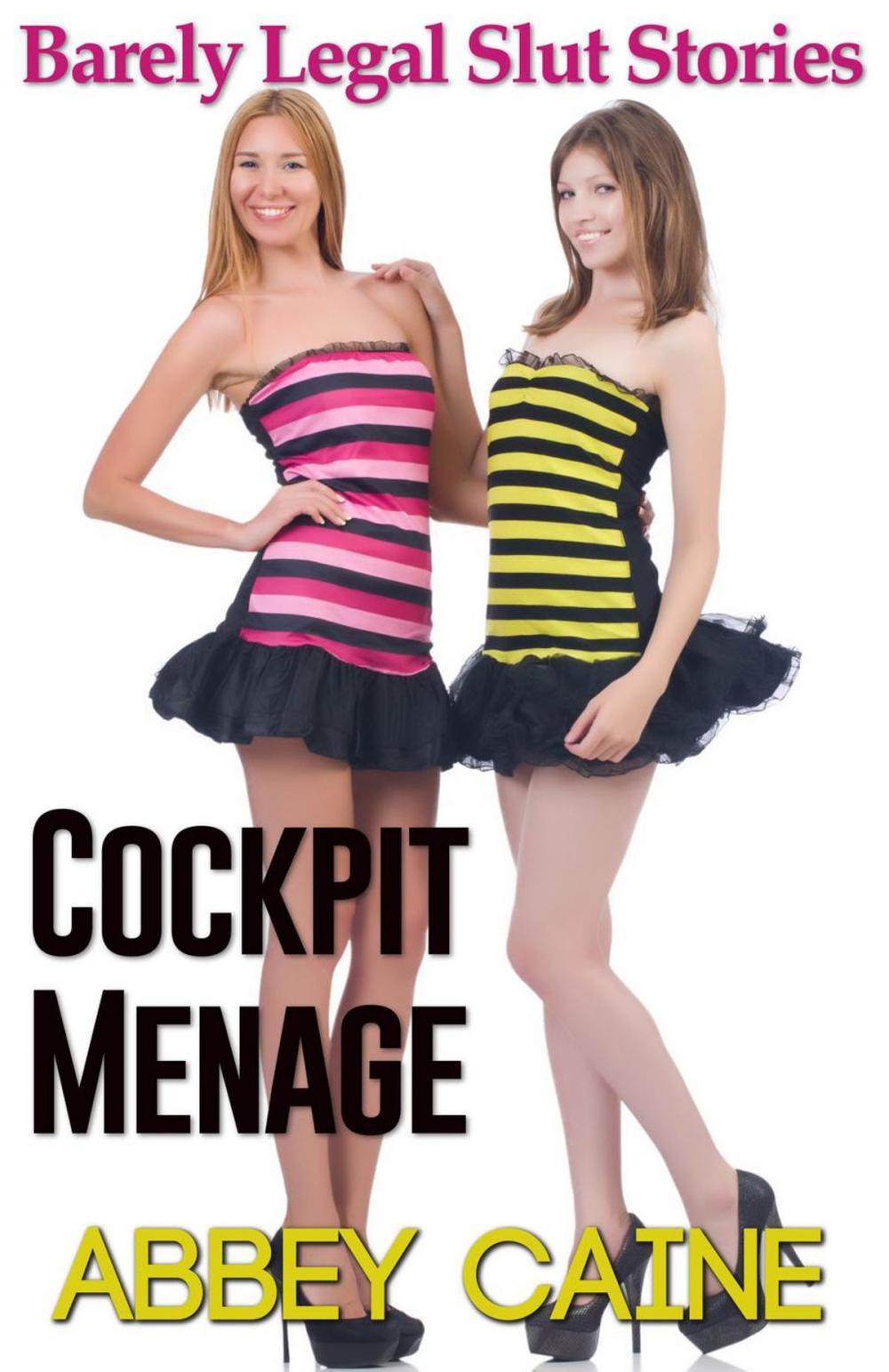 Big bigCover of Cockpit Menage (Barely Legal Slut Stories)