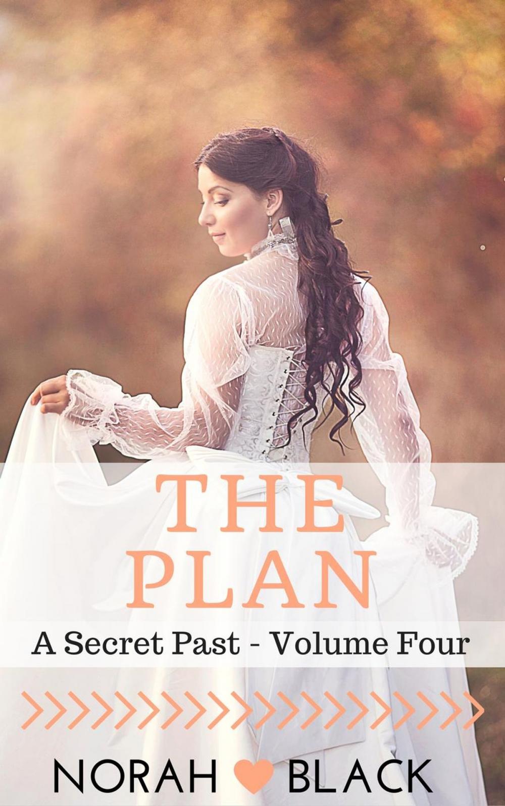 Big bigCover of The Plan (A Secret Past - Volume Four)