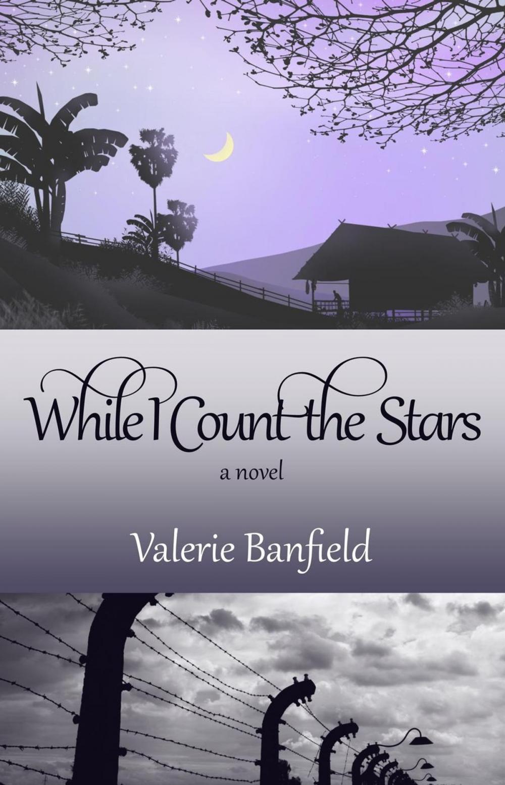 Big bigCover of While I Count the Stars: A Novel