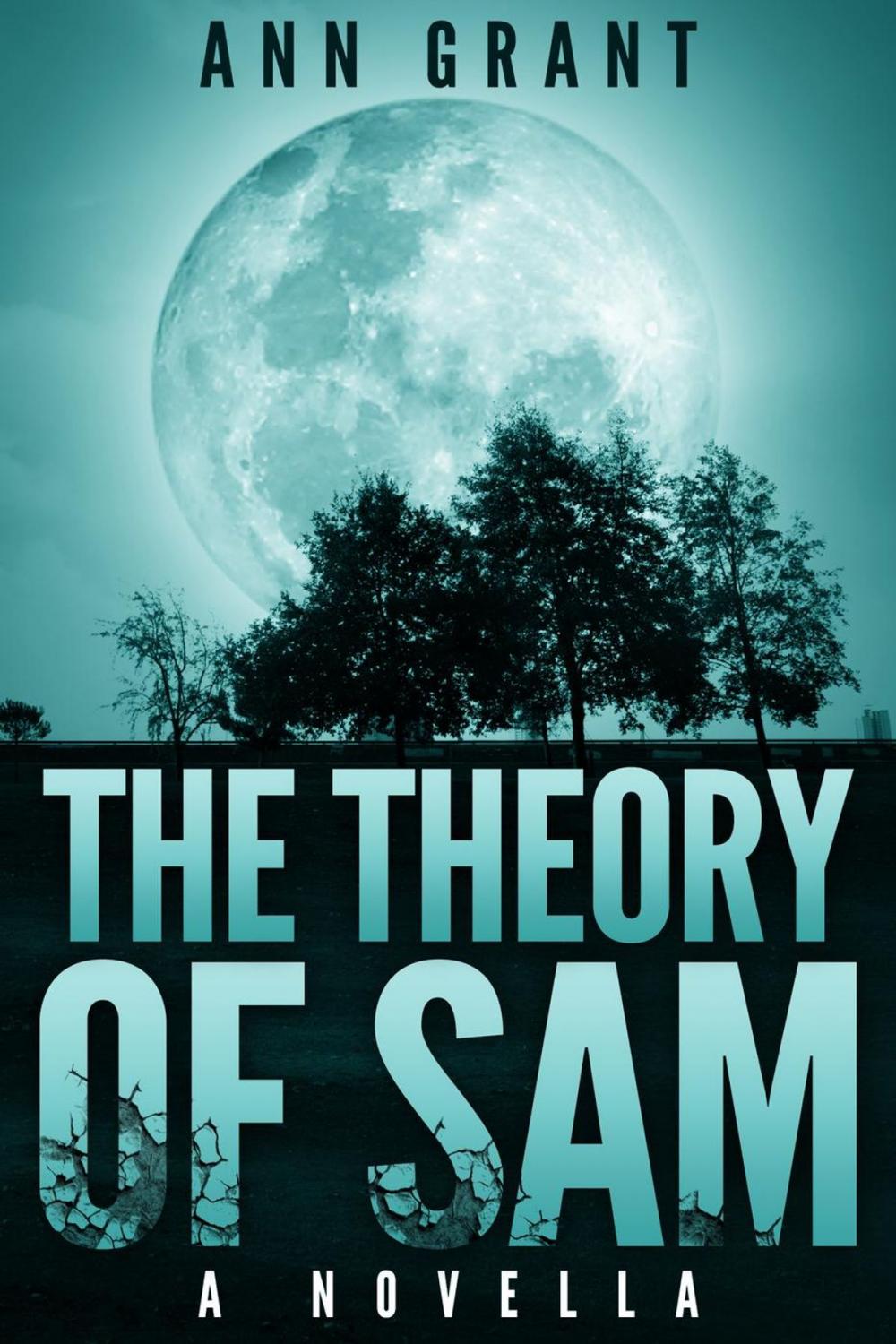 Big bigCover of The Theory of Sam