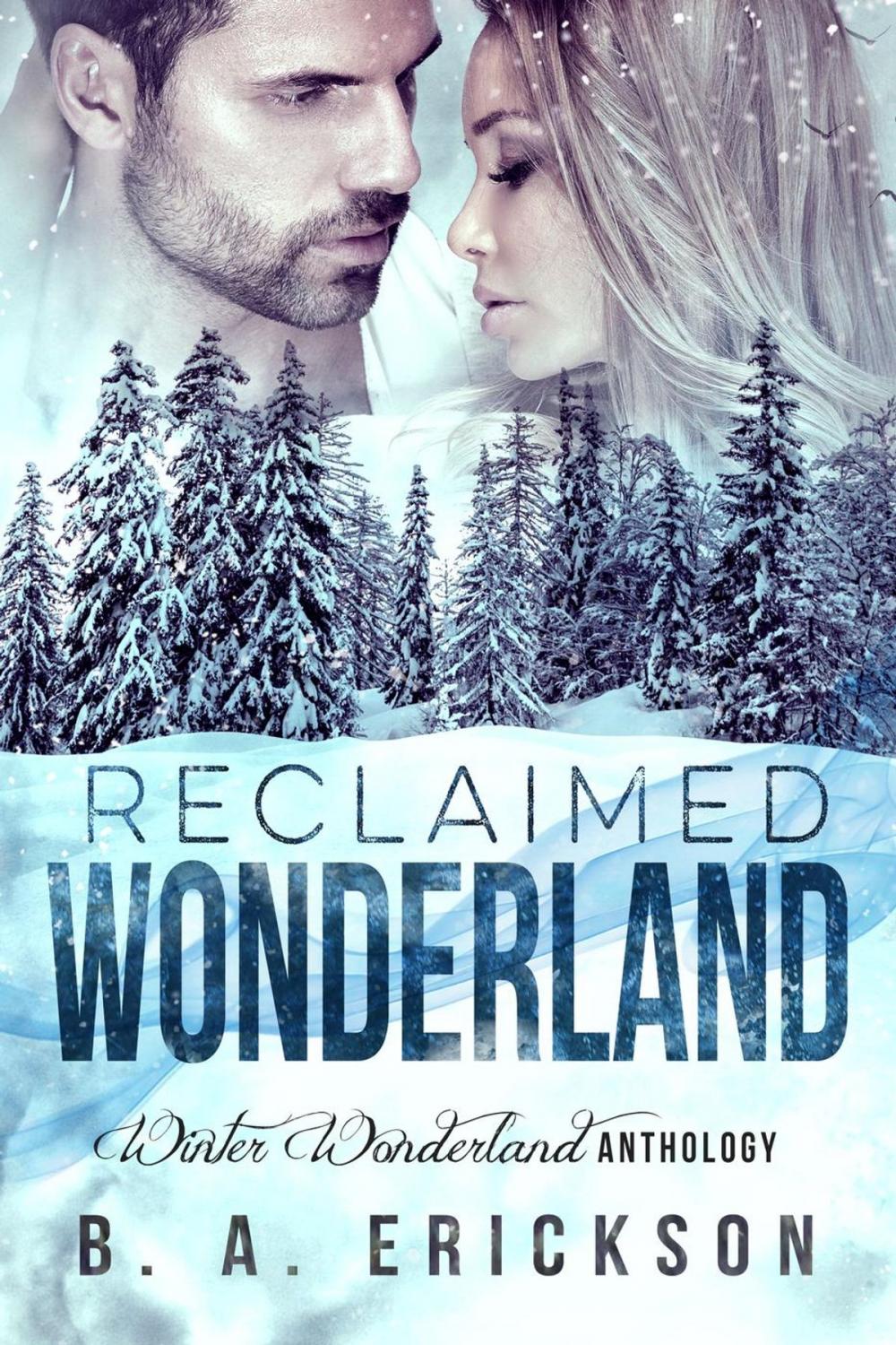 Big bigCover of Reclaimed Wonderland