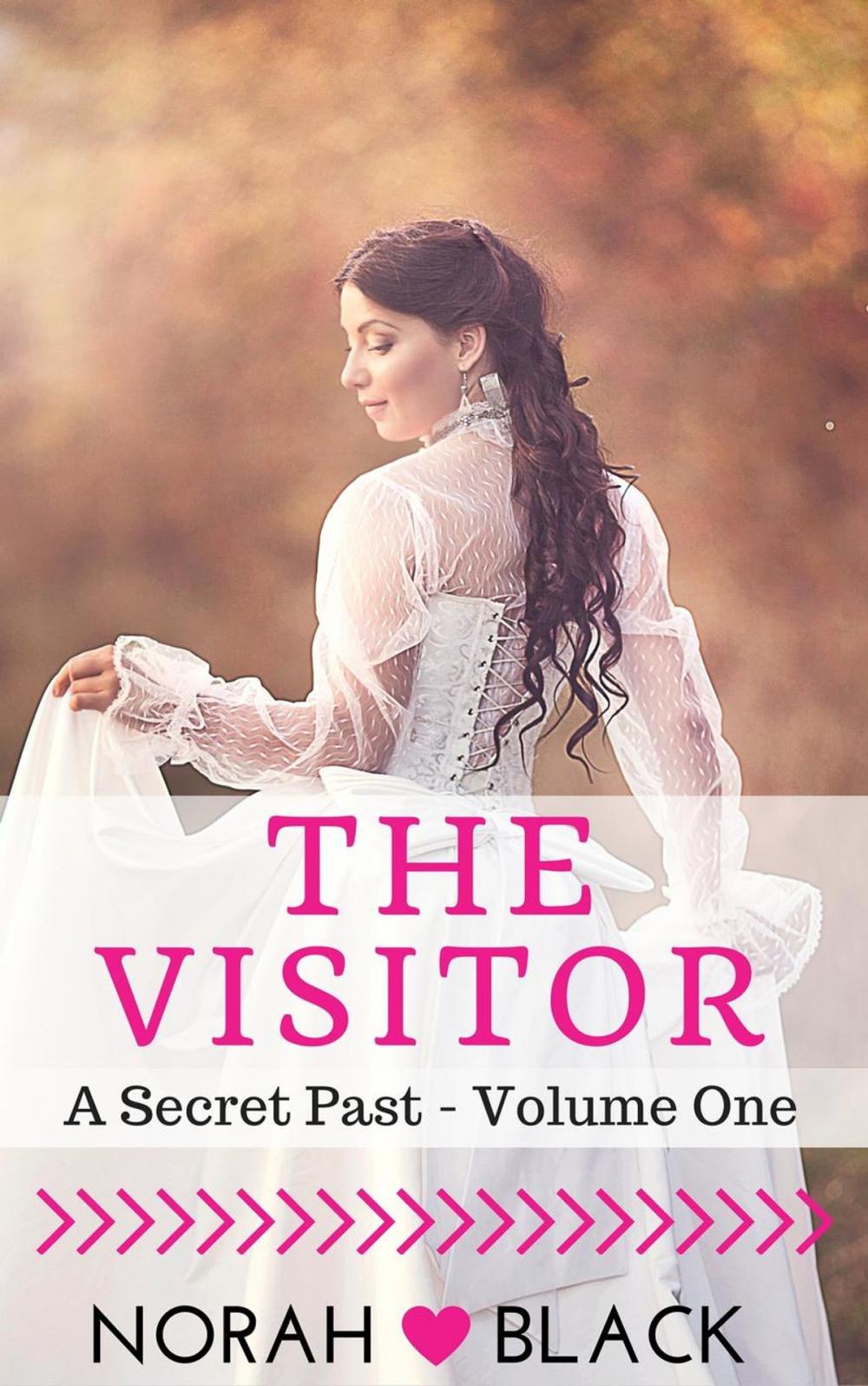 Big bigCover of The Visitor (A Secret Past - Volume One)