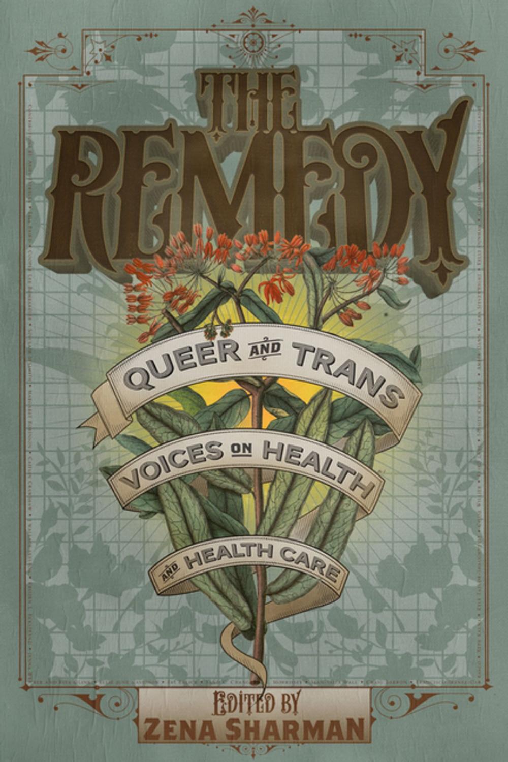 Big bigCover of The Remedy