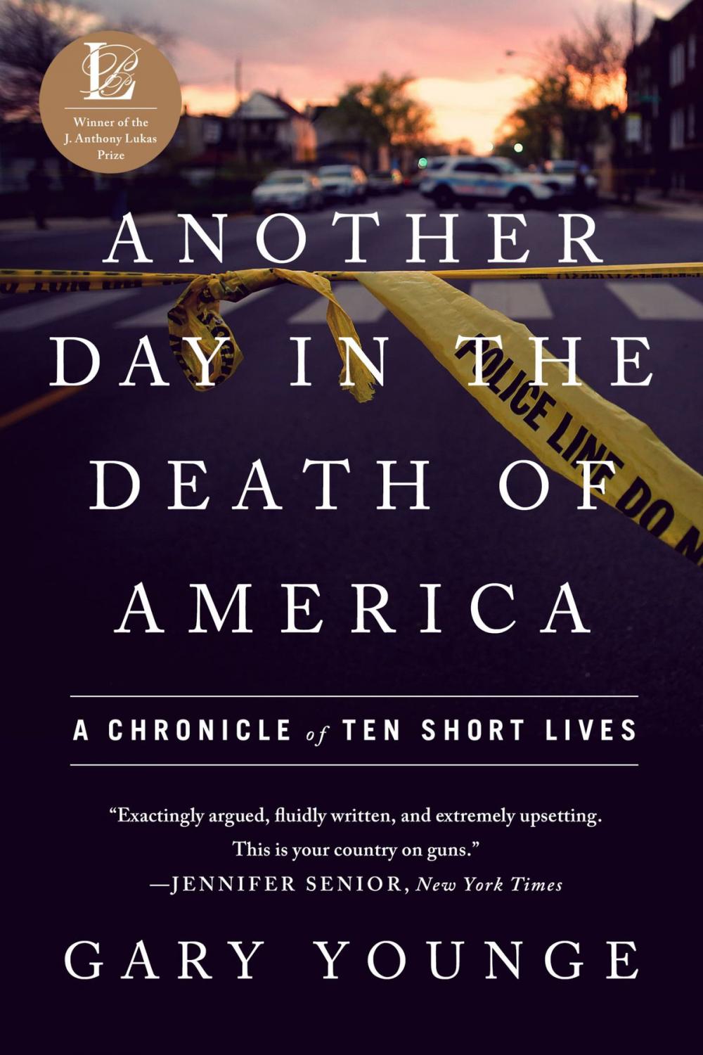 Big bigCover of Another Day in the Death of America