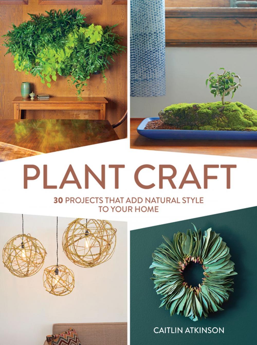 Big bigCover of Plant Craft