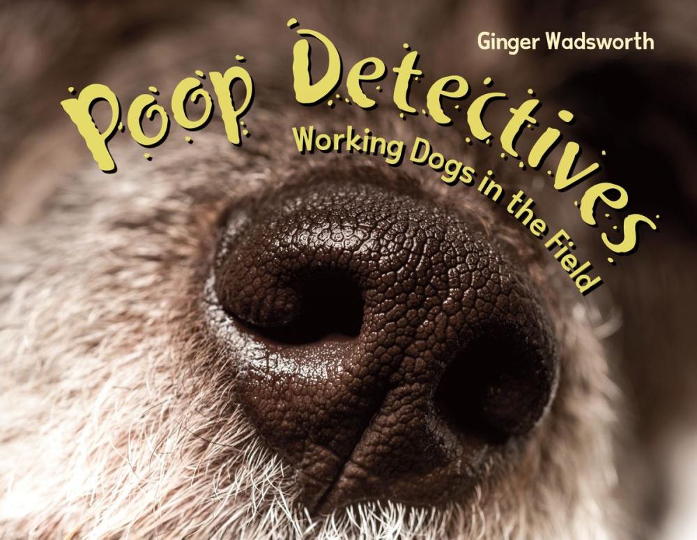 Big bigCover of Poop Detectives