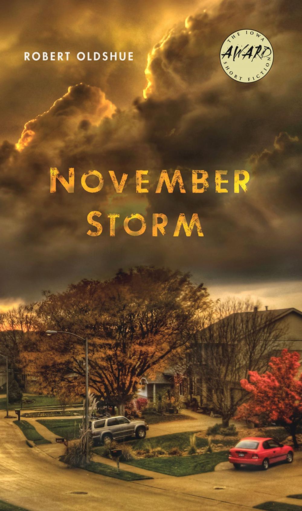 Big bigCover of November Storm