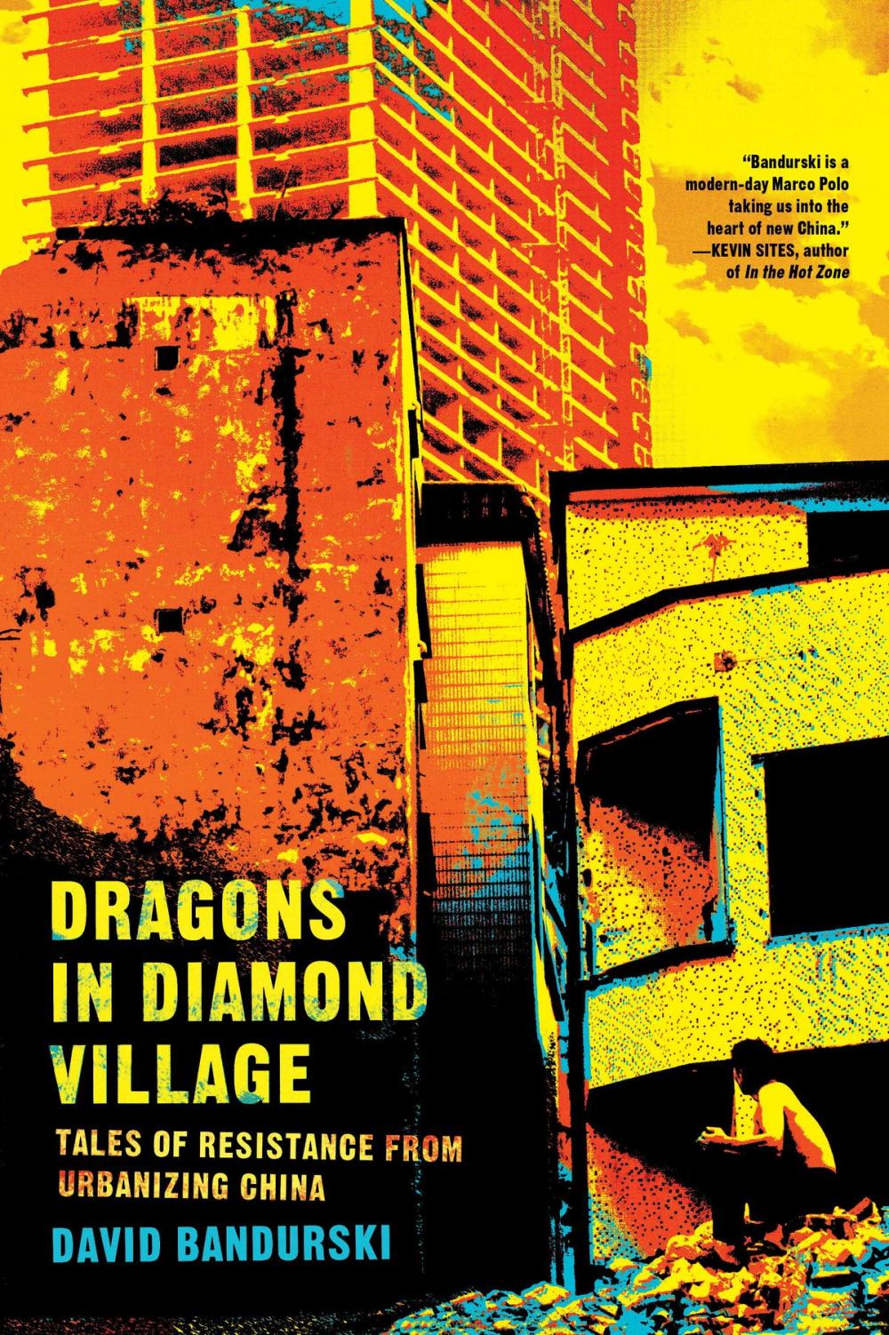 Big bigCover of Dragons in Diamond Village