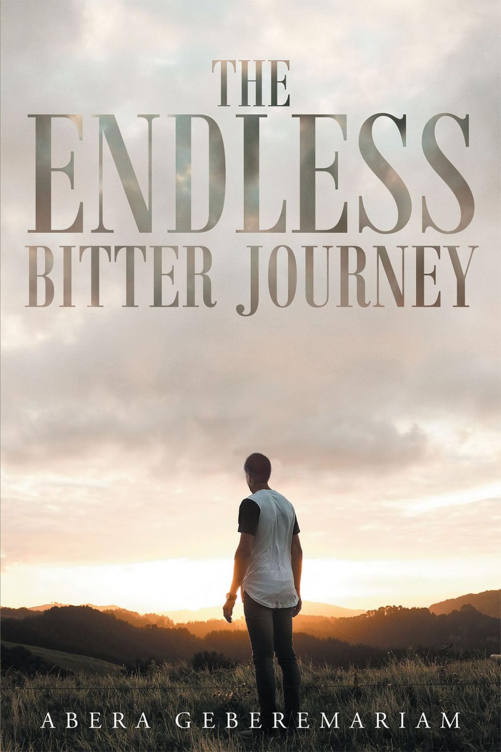 Big bigCover of The Endless Bitter Journey