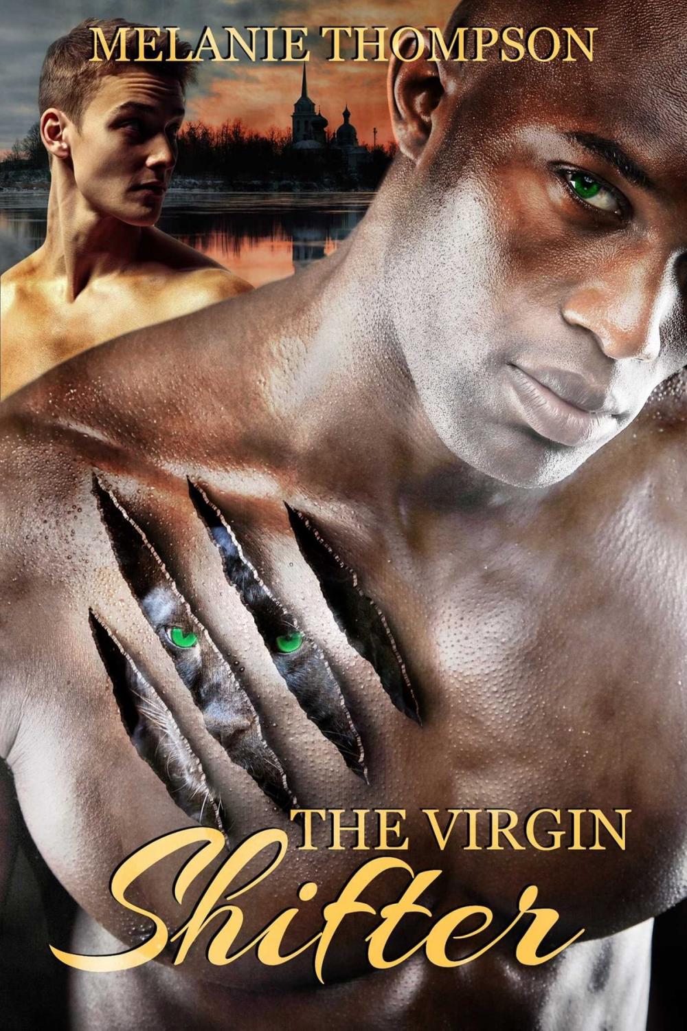 Big bigCover of The Virgin Shifter