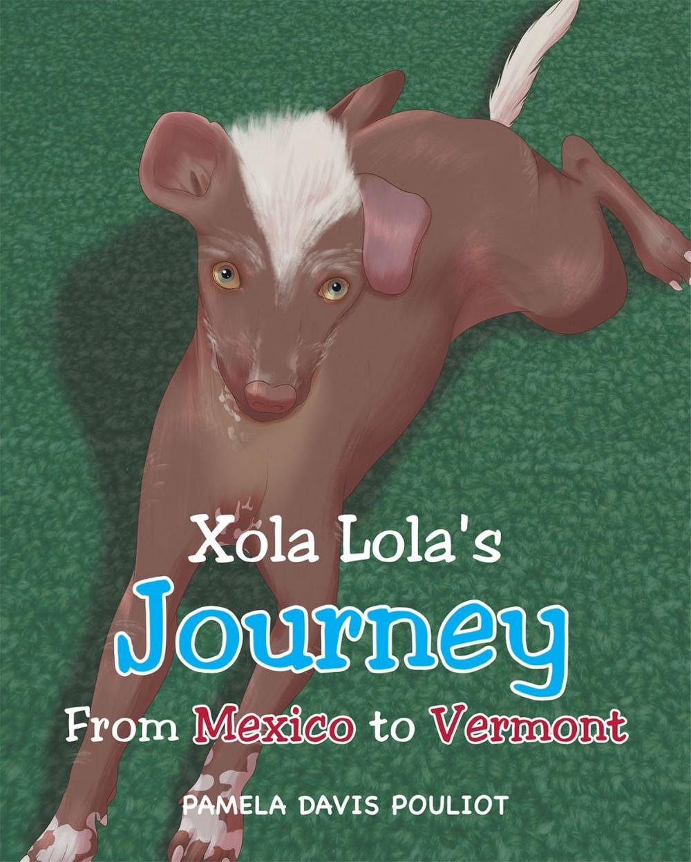 Big bigCover of Xola Lola's Journey From Mexico to Vermont