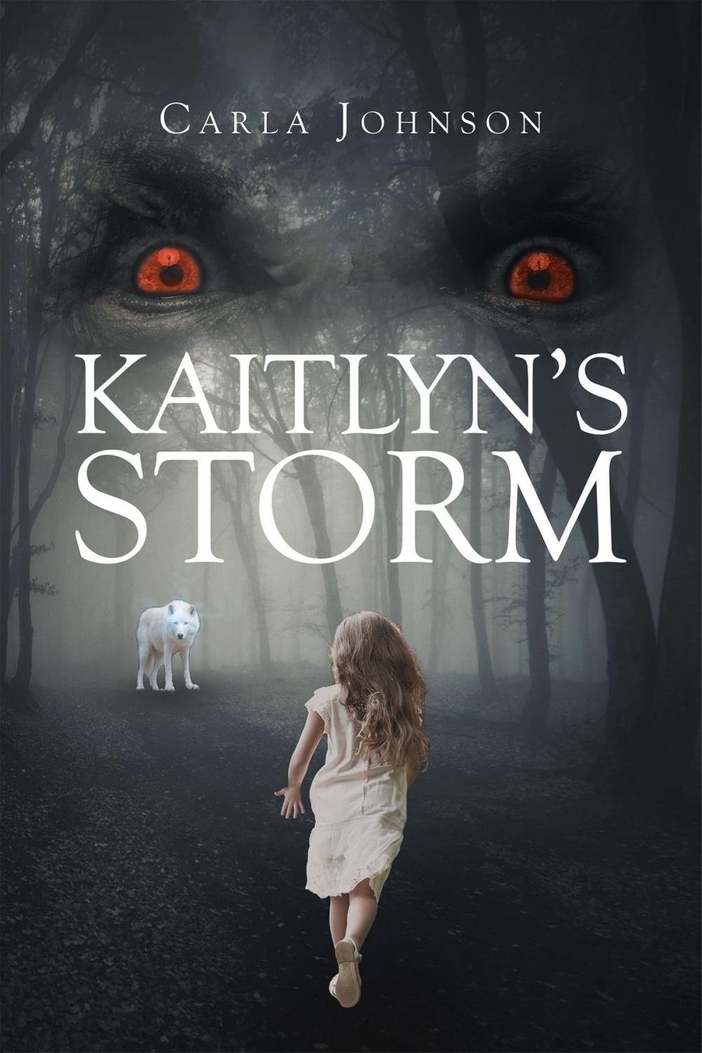 Big bigCover of Kaitlyn's Storm