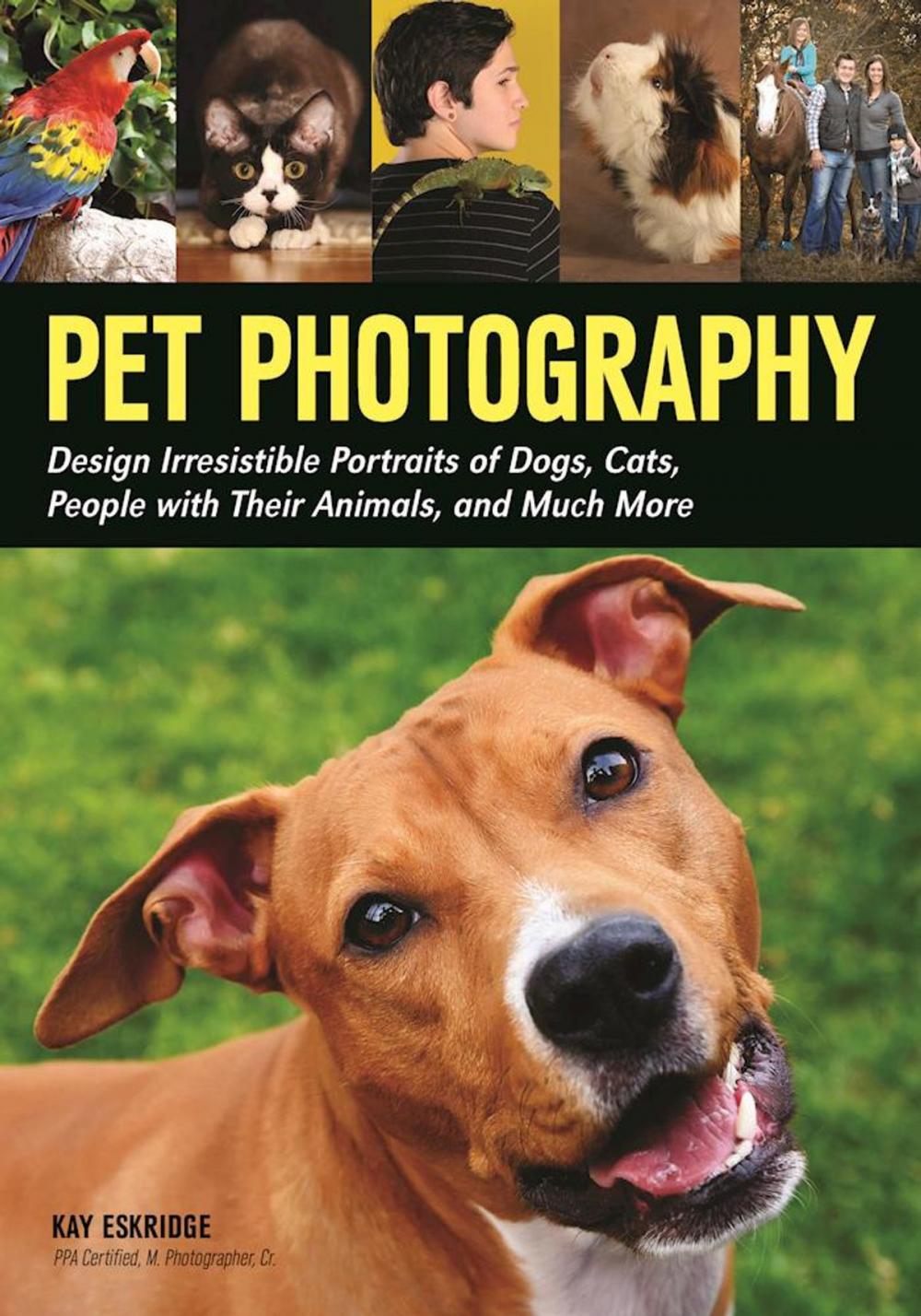 Big bigCover of Pet Photography