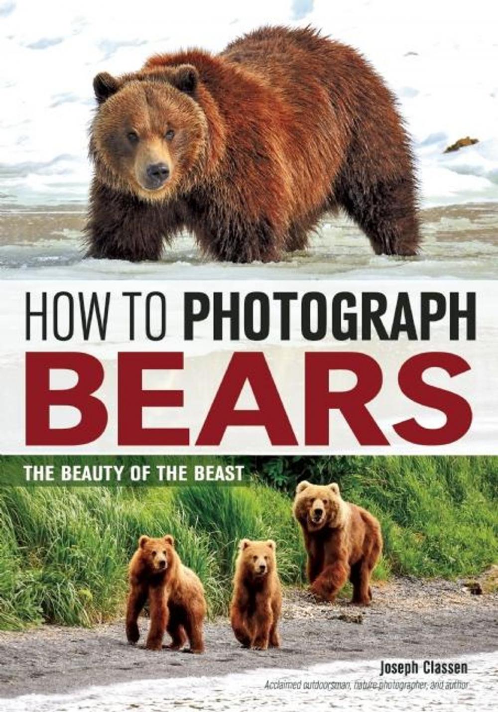 Big bigCover of How to Photograph Bears