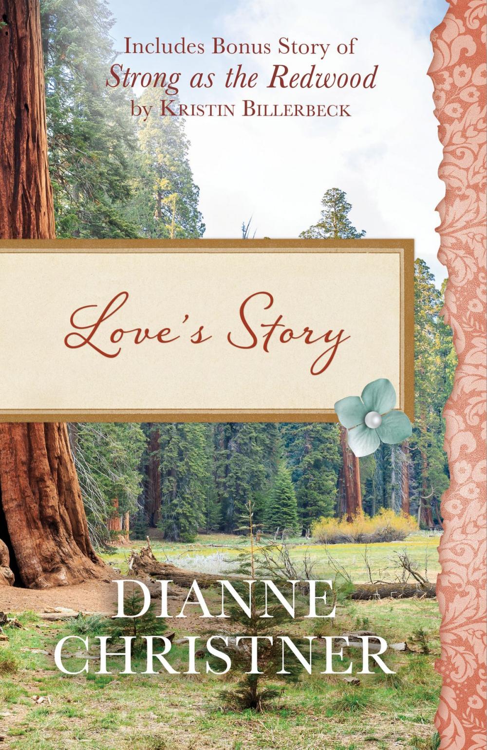 Big bigCover of Love's Story