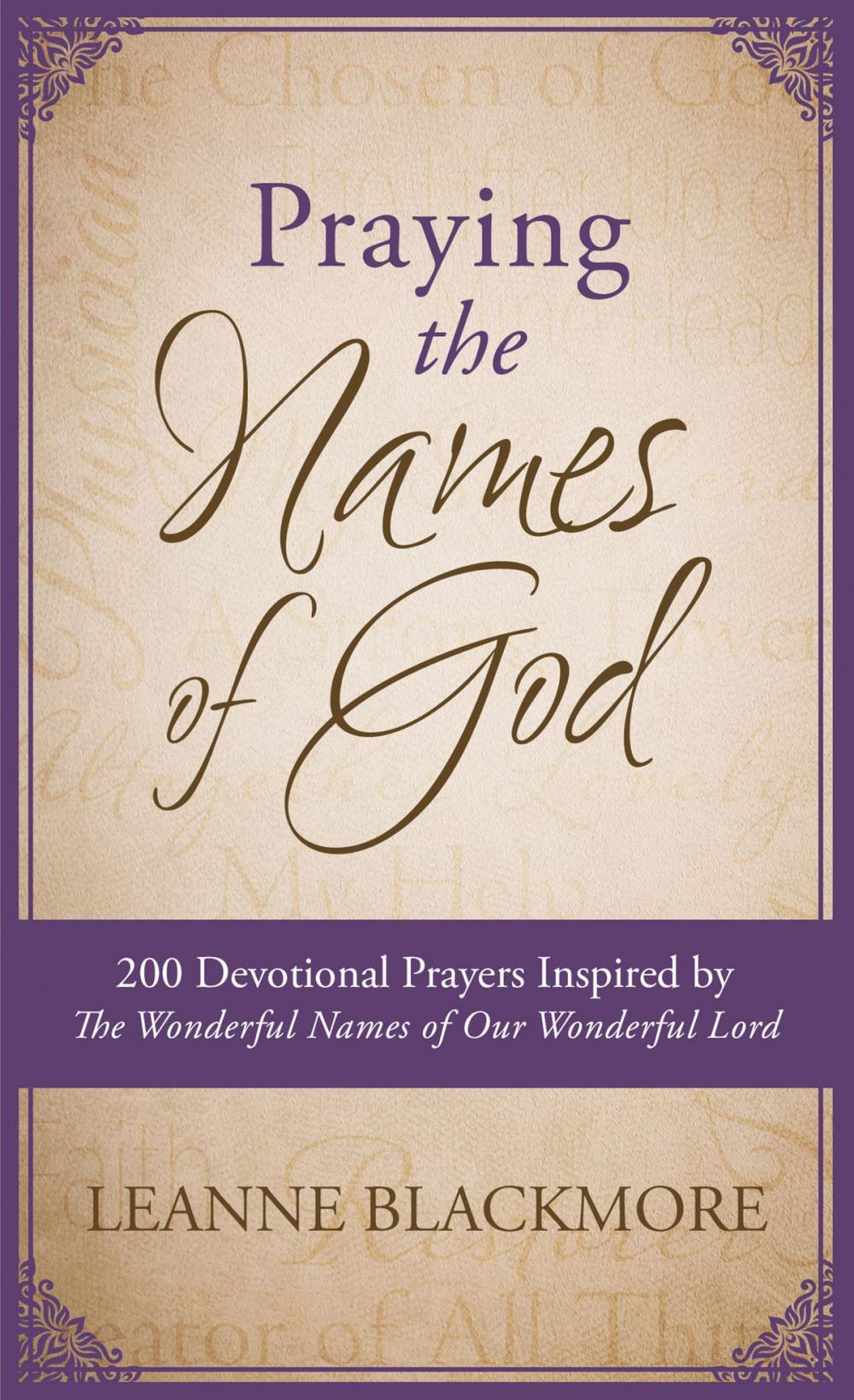 Big bigCover of Praying the Names of God