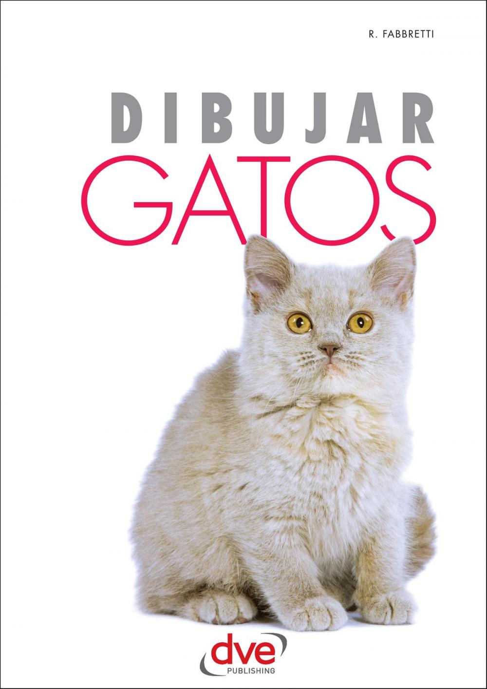 Big bigCover of Dibujar Gatos