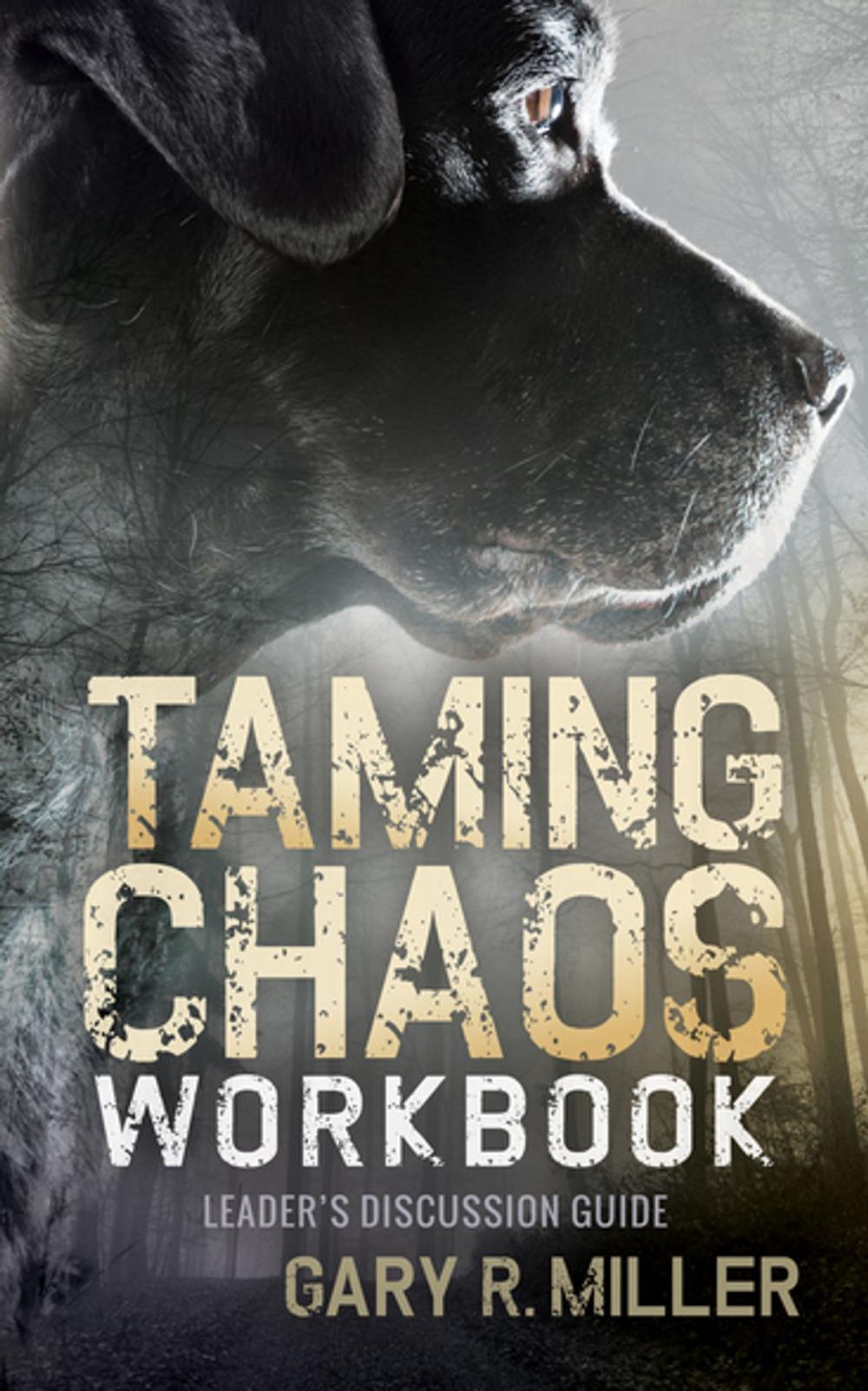 Big bigCover of Taming Chaos Workbook