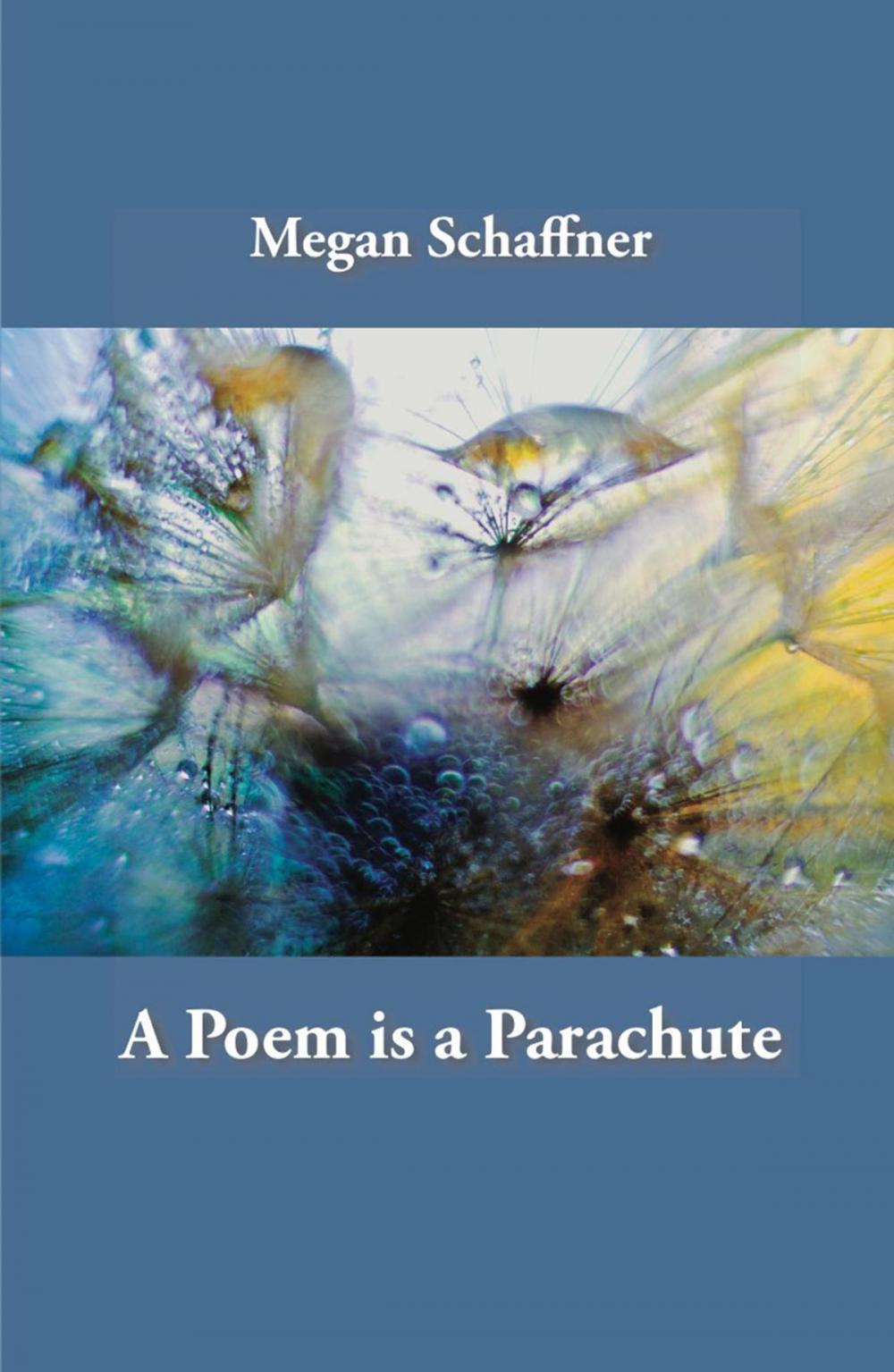 Big bigCover of A Poem is a Parachute